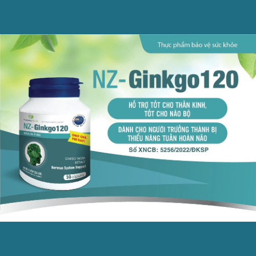 THỰC PHẨM BẢO VỆ SỨC KHỎE NZ – Ginkgo120